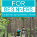 Pair of hikers walking through forest with text overlay Hiking for Beginners 10 Important Tips You Need to Know