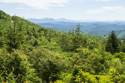 Mountain view in Grayson Highlands State Park