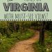 Picture of mountain laurel along a trail in Shenandoah National Park with text overlay The Best Hikes in Virginia With Must-See Views
