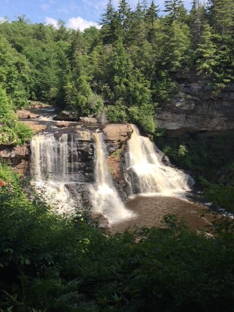 Picture of Blackwater Falls in Blackwater Falls State Park