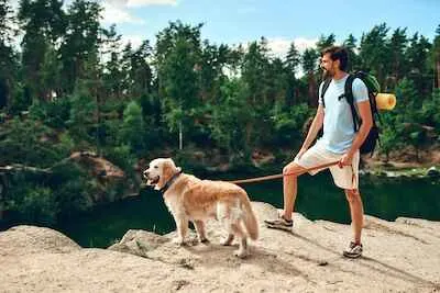 A male hiker with dog on a leash standing on a rocky peak, looking at the river and forest